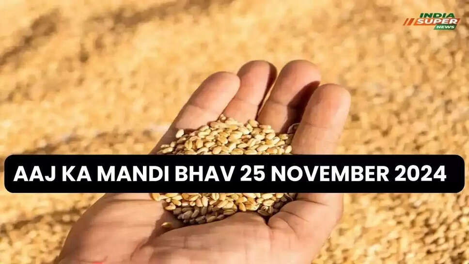 Aaj Ka Mandi Bhav