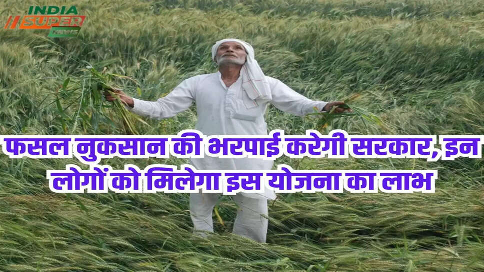 फसल नुकसान की भरपाई करेगी सरकार, इन लोगों को मिलेगा इस योजना का लाभ