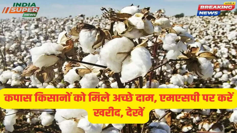 कपास किसानों को मिले अच्छे दाम, एमएसपी पर करें खरीद, देखें