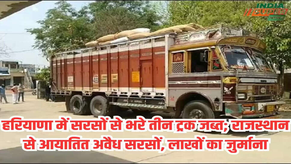 हरियाणा में सरसों से भरे तीन ट्रक जब्त; राजस्थान से आयातित अवैध सरसों, लाखों का जुर्माना