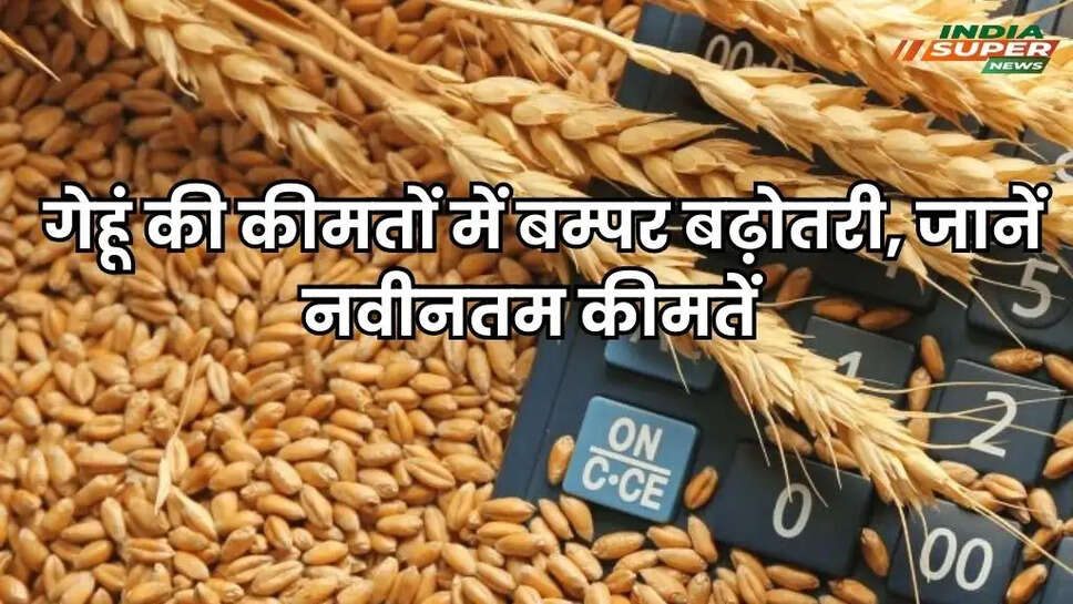 Wheat Price