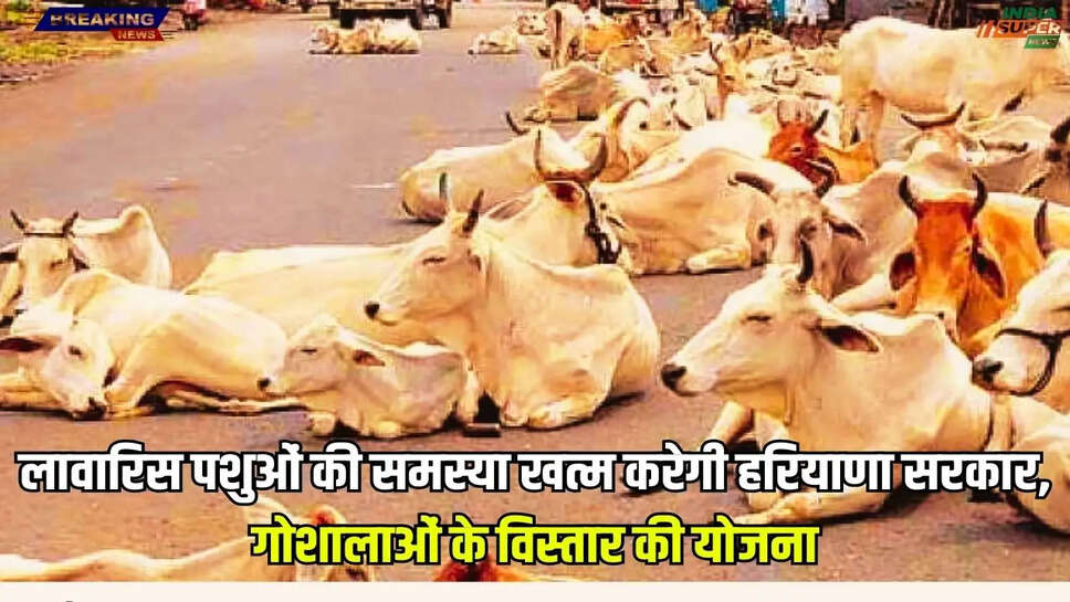 Haryana Khabar: लावारिस पशुओं की समस्या खत्म करेगी हरियाणा सरकार, गोशालाओं के विस्तार की योजना