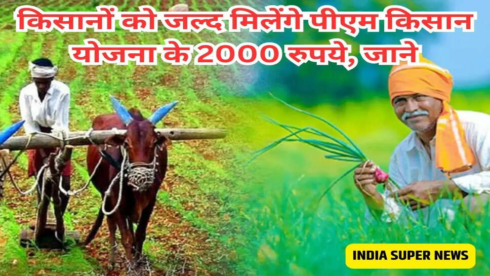 किसानों को जल्द मिलेंगे पीएम किसान योजना के 2000 रुपये, जाने