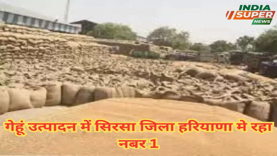 गेहूं उत्पादन में सिरसा जिला हरियाणा मे रहा नबर 1