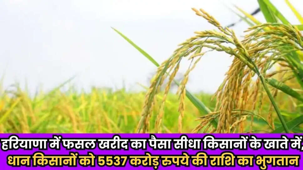 Haryana News
