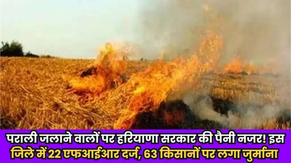 Kaithal News