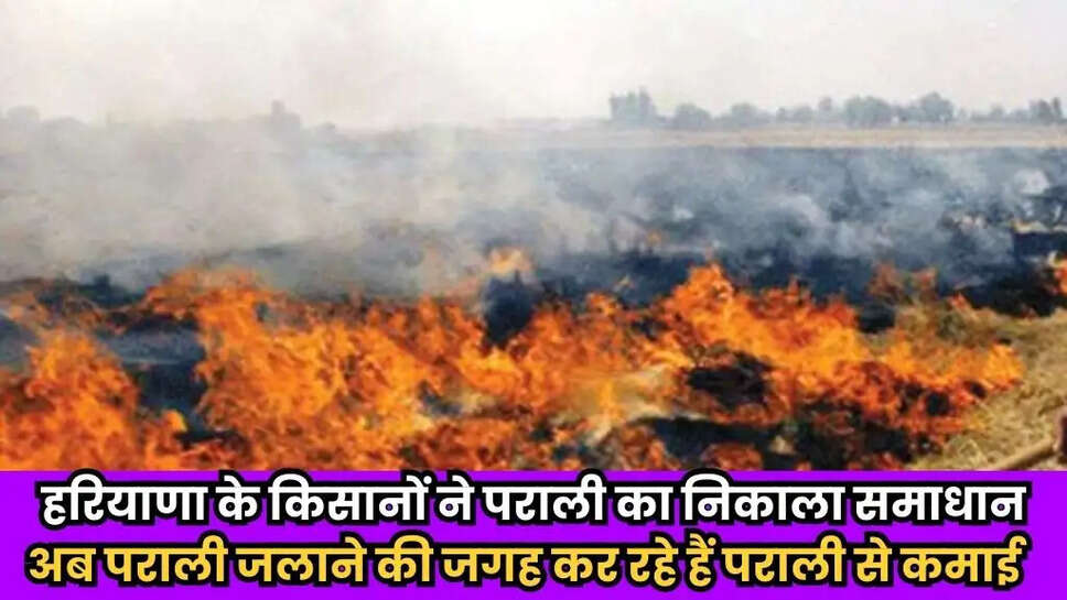 Haryana Kisan News