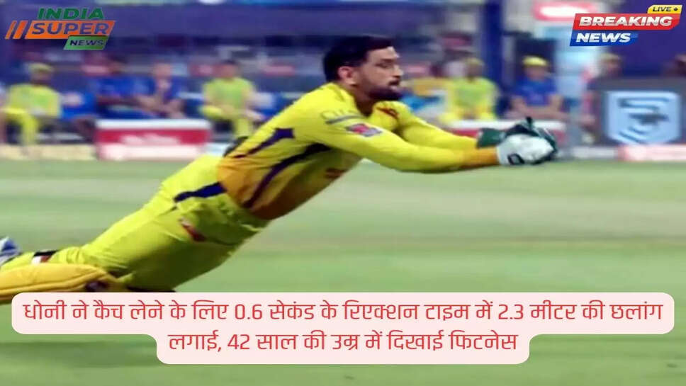 धोनी ने कैच लेने के लिए 0.6 सेकंड के रिएक्शन टाइम में 2.3 मीटर की छलांग लगाई, 42 साल की उम्र में दिखाई फिटनेस