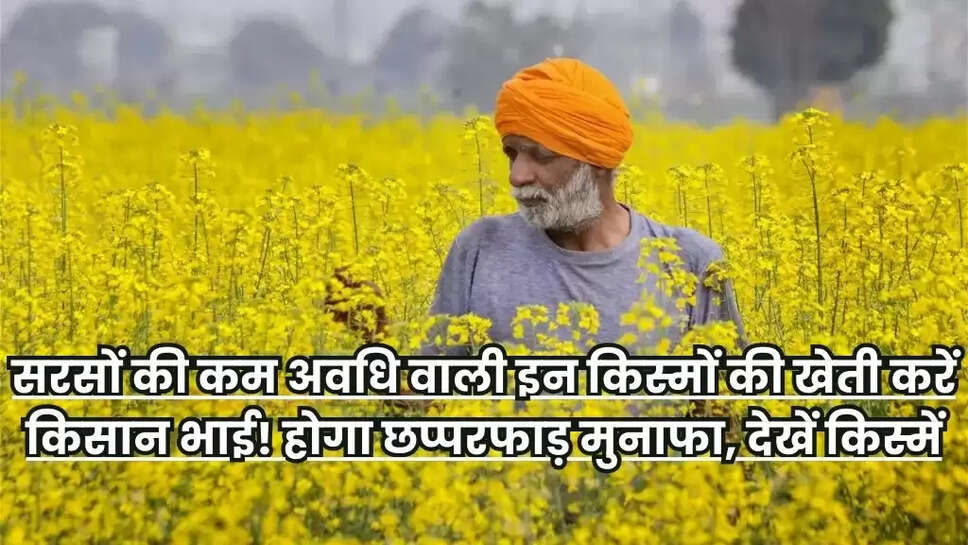 Mustard Cultivation