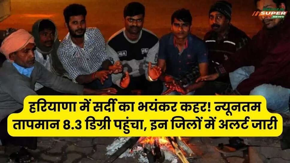 Haryana Weather News