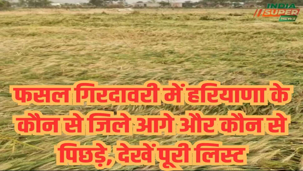 फसल गिरदावरी में हरियाणा के कौन से जिले आगे और कौन से पिछड़े, देखें पूरी लिस्ट