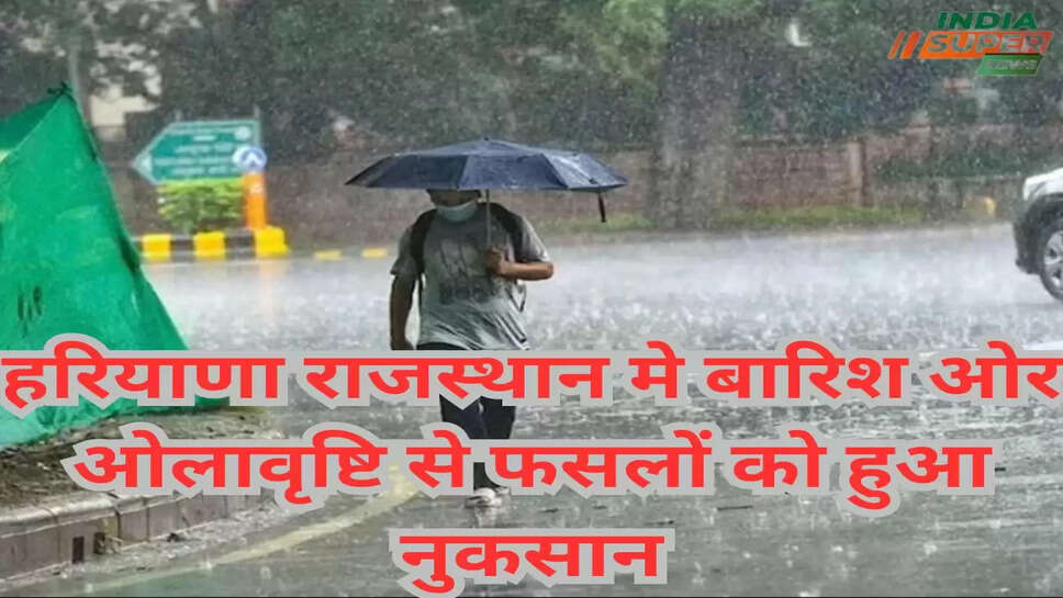 हरियाणा राजस्थान मे बारिश ओर ओलावृष्टि से फसलों को हुआ नुकसान