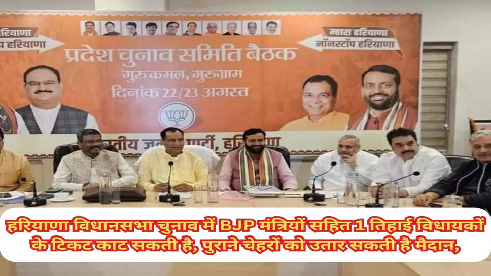 Haryana Elections 2024:हरियाणा विधानसभा चुनाव में BJP मंत्रियों सहित 1 तिहाई विधायकों के टिकट काट सकती है, पुराने चेहरों को उतार सकती है मैदान, जाने ताजा खबर 