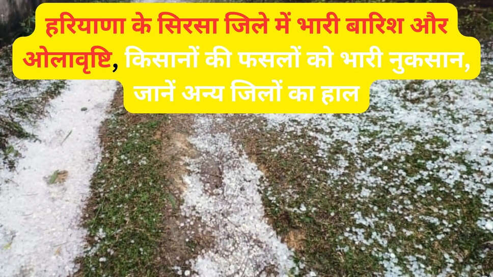 हरियाणा के सिरसा जिले में भारी बारिश और ओलावृष्टि, किसानों की फसलों को भारी नुकसान, जानें अन्य जिलों का हाल
