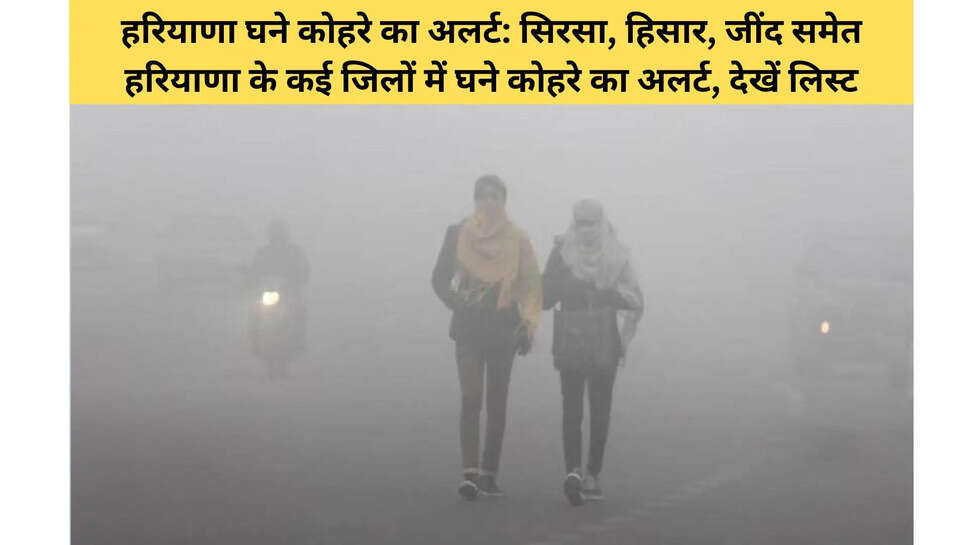 हरियाणा घने कोहरे का अलर्ट: सिरसा, हिसार, जींद समेत हरियाणा के कई जिलों में घने कोहरे का अलर्ट, देखें लिस्ट
