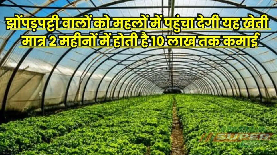 Poly House Farming