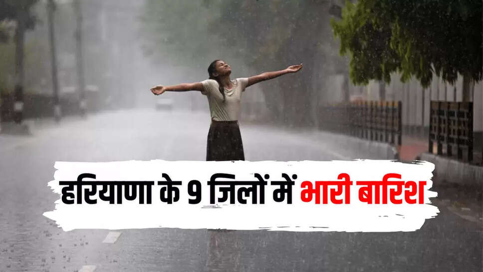 हरियाणा के 9 जिलों में भारी बारिश