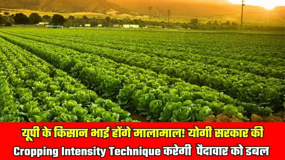 Cropping Intensity Technique