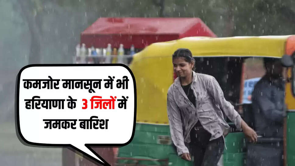 कमजोर मानसून में भी हरियाणा के 3 जिलों में जमकर बारिश
