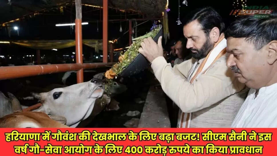 Haryana News
