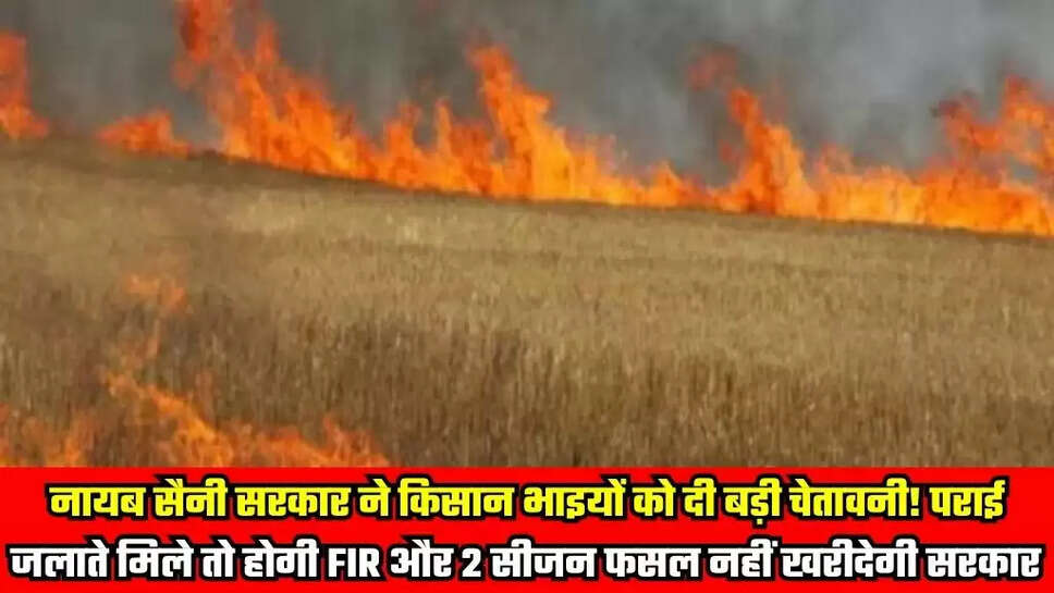 Haryana News