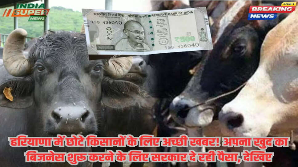 हरियाणा में छोटे किसानों के लिए अच्छी खबर! अपना खुद का बिजनेस शुरू करने के लिए सरकार दे रही पैसा, देखिए