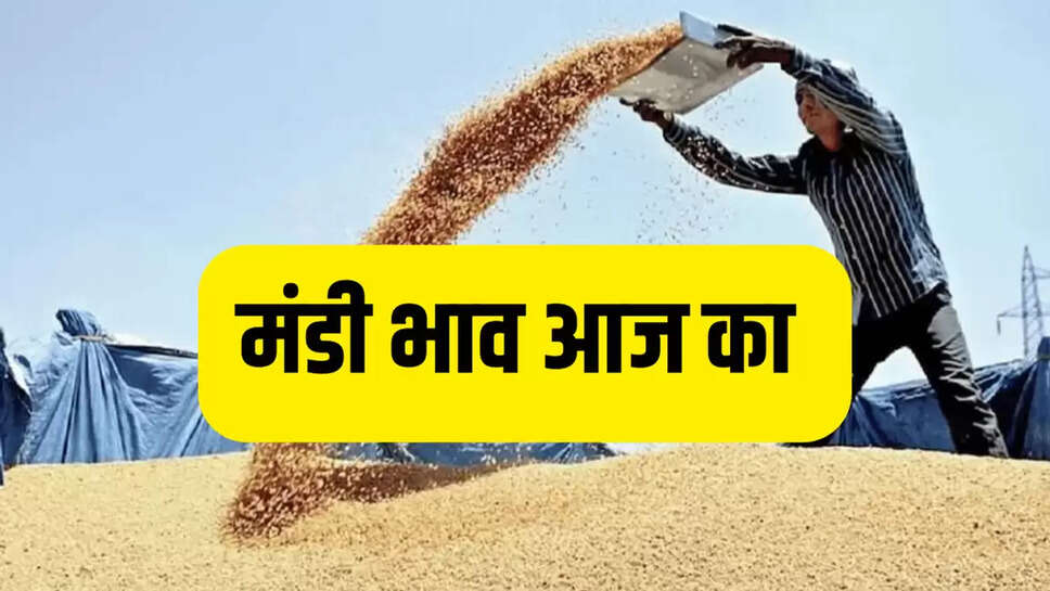 मंडी भाव आज का 