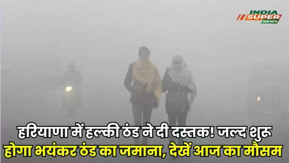 Haryana weather Update