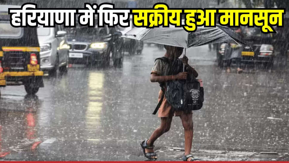 haryana weather update