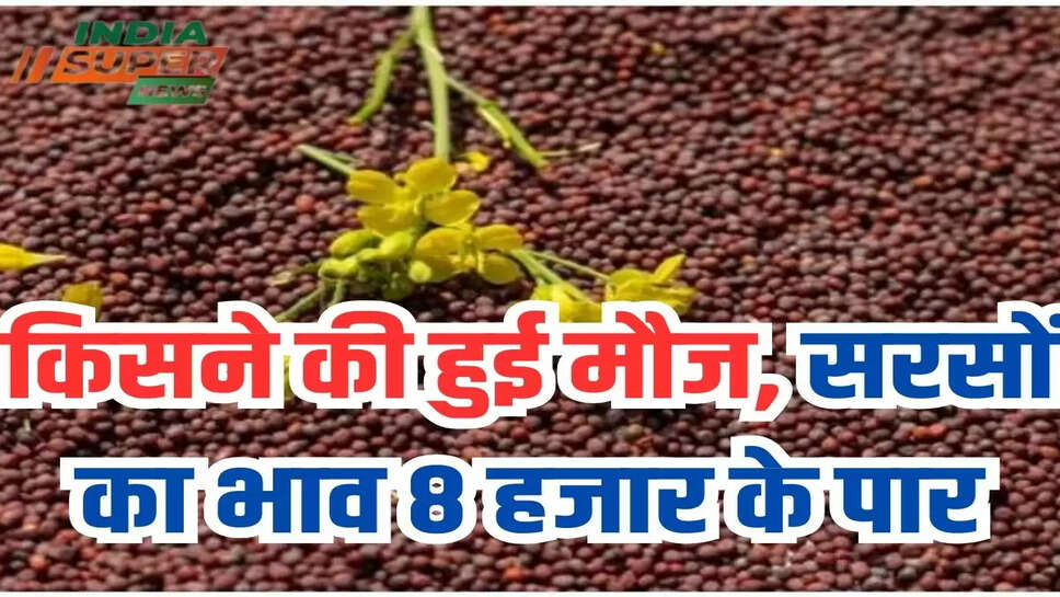 किसने की हुई मौज, सरसों का भाव 8 हजार के पार