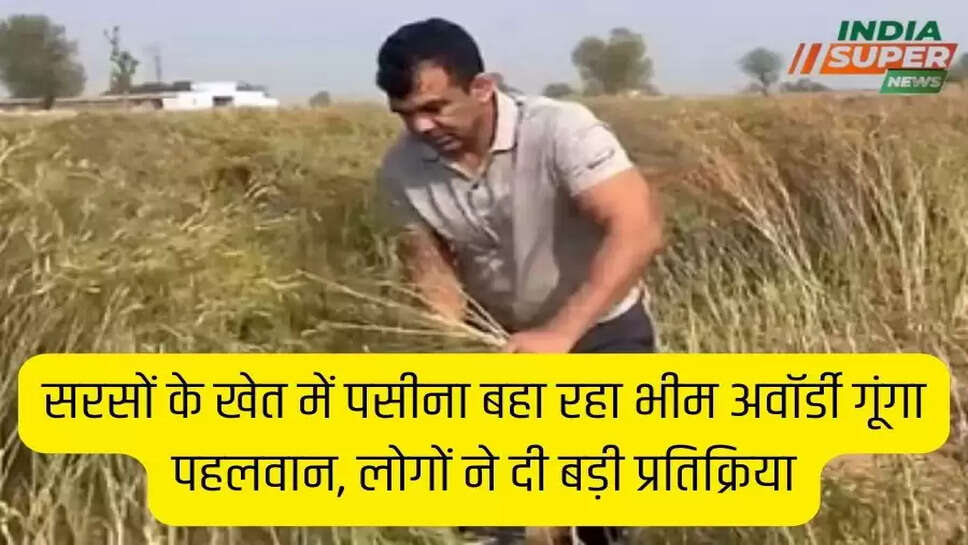 सरसों के खेत में पसीना बहा रहा भीम अवॉर्डी गूंगा पहलवान, लोगों ने दी बड़ी प्रतिक्रिया