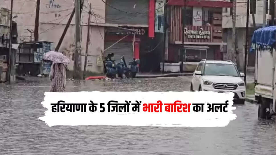 Haryana hindi news, Ambala hindi news, Haryana Weather, Rain Alert, Ambala Rain"