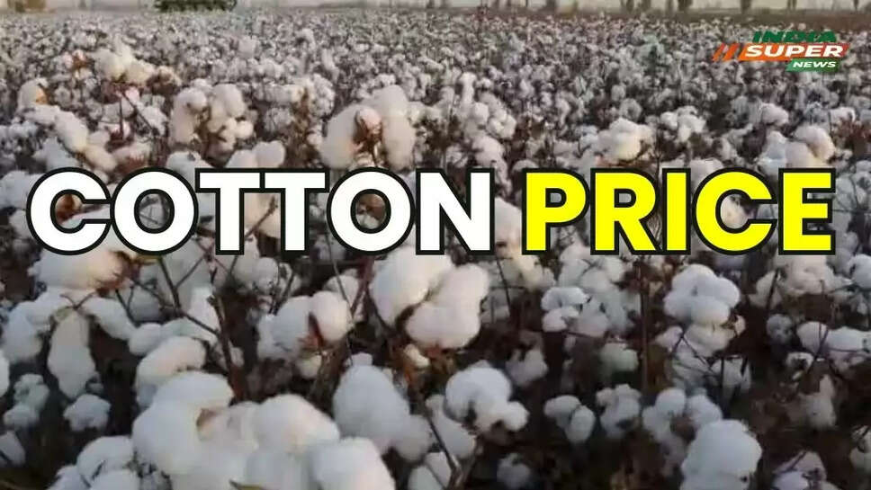 Current Cotton Prices