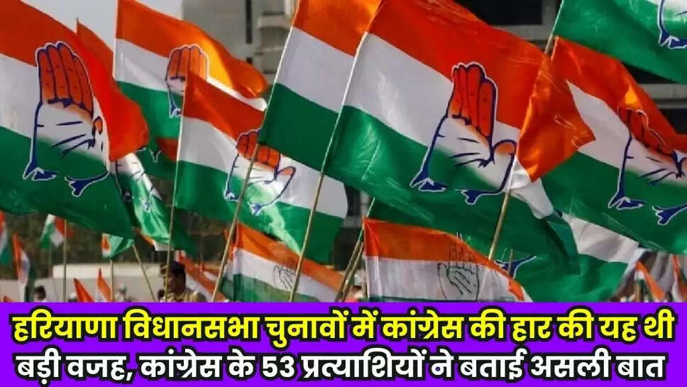 Haryana Elections