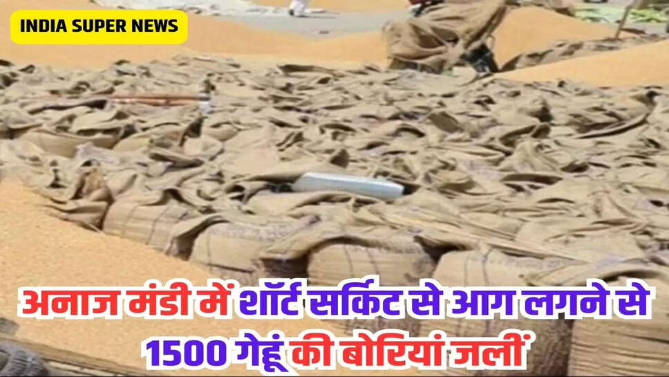 अनाज मंडी में शॉर्ट सर्किट से आग लगने से 1500 गेहूं की बोरियां जलीं