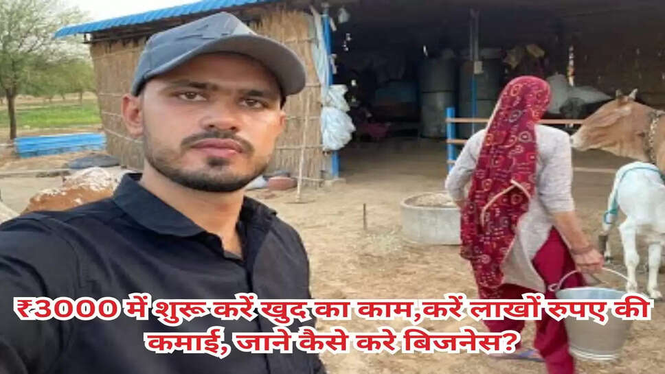 Business news: ₹3000 में शुरू करें खुद का काम,करें लाखों रुपए की कमाई, जाने कैसे करे बिजनेस?