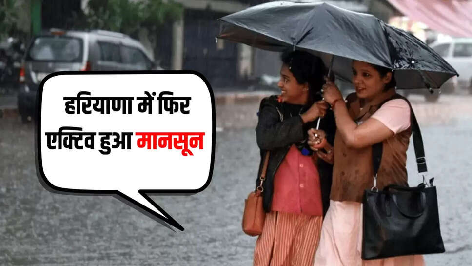  हरियाणा में फिर एक्टिव हुआ मानसून