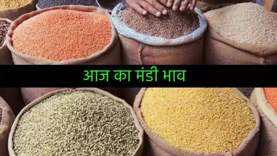 हरियाणा राजस्थान से जुडी हर छोटी बड़ी मंडी के भाव आपके लिए लेकर आये है। आज हम आपको दूर दराज की हर छोटी बड़ी मंडी के भाव बताने जा रहे है।  तो चलिए जानतें है आप के नजदीकी मंडी में का भाव क्या रहा है
