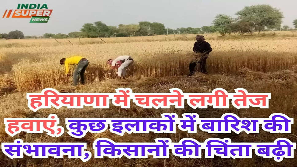 हरियाणा में चलने लगी तेज हवाएं, कुछ इलाकों में बारिश की संभावना, किसानों की चिंता बढ़ी