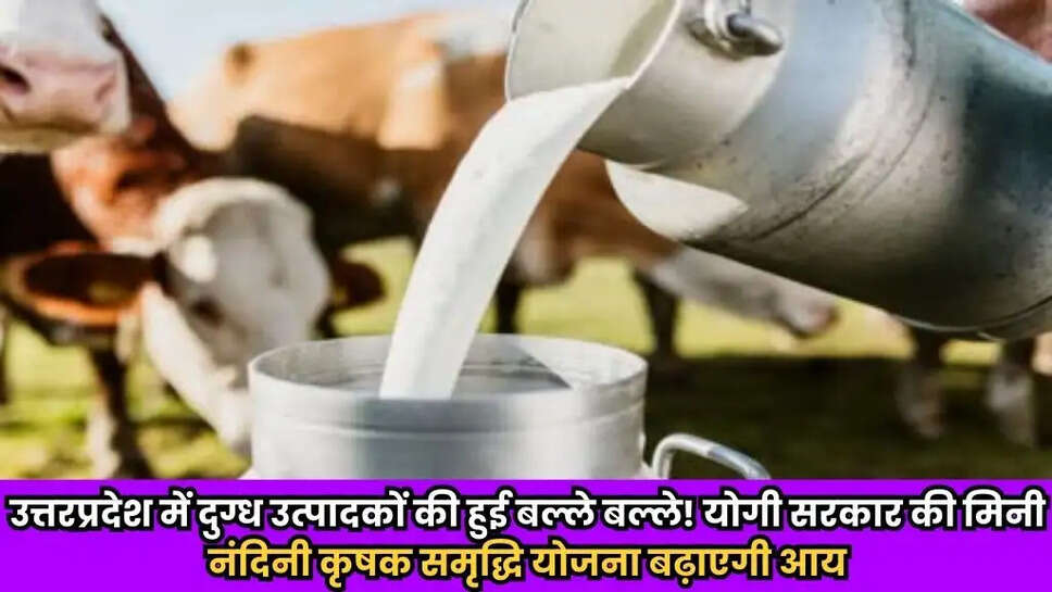 UP News