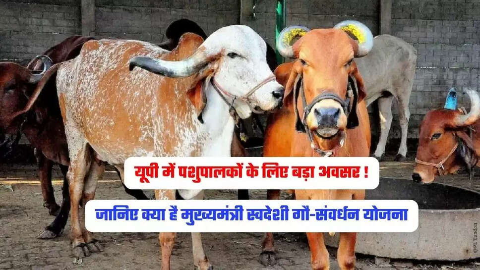 up news,maharajganj ,cm yogi adityanath ,new project for gau samvardhan yojana,maharajganj latest news,up latest news
