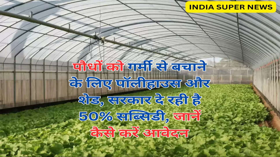 पौधों को गर्मी से बचाने के लिए पॉलीहाउस और शेड, सरकार दे रही है 50% सब्सिडी, जानें कैसे करें आवेदन