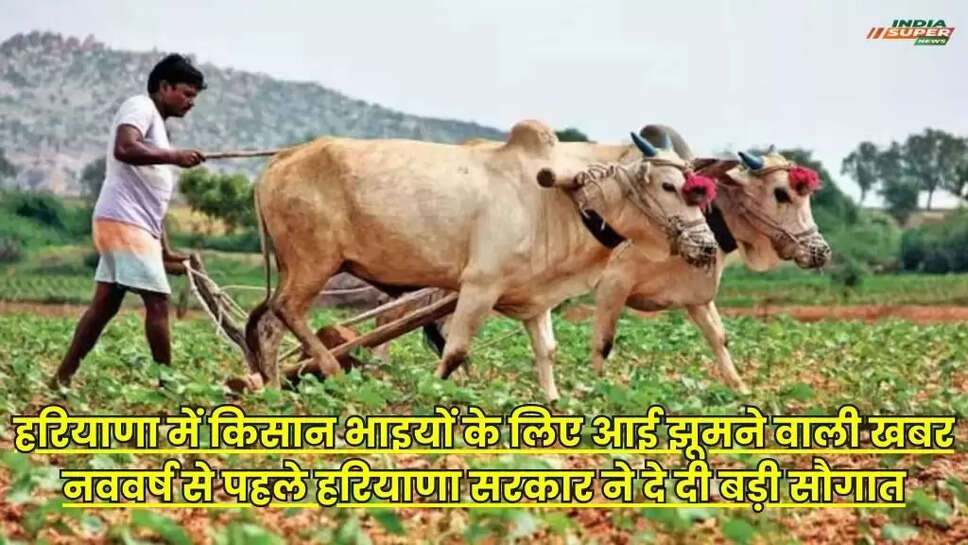 Haryana News