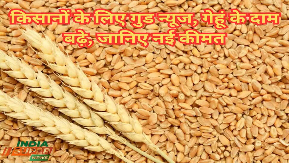किसानों के लिए गुड न्यूज, गेहूं के दाम बढ़े, जानिए नई कीमत