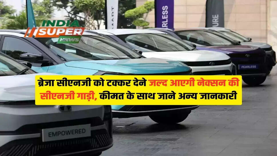 Nexon CNG