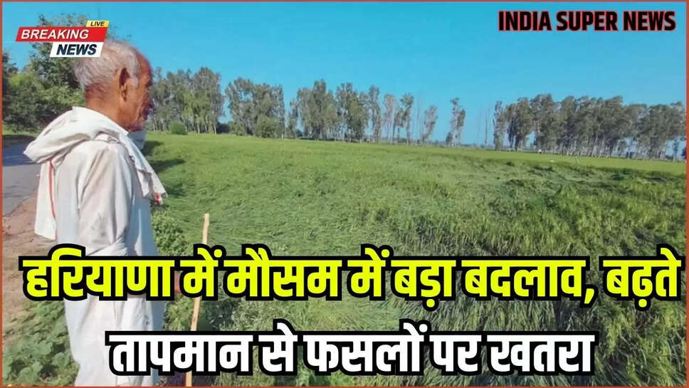 Haryana Weather: हरियाणा में मौसम में बड़ा बदलाव, बढ़ते तापमान से फसलों पर खतरा