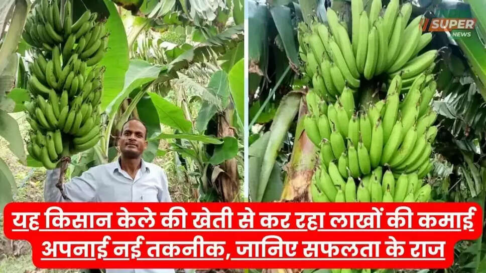 यह किसान केले की खेती से कर रहा लाखों की कमाई अपनाई नई तकनीक, जानिए सफलता के राज