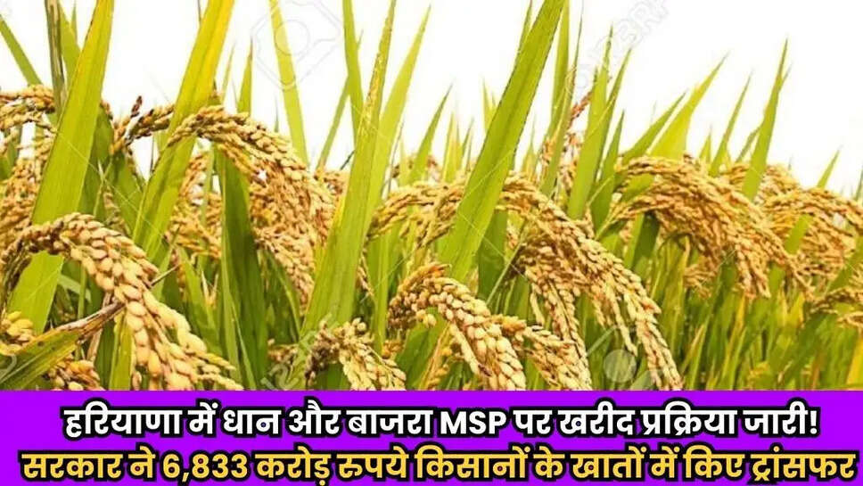Haryana Agriculture News
