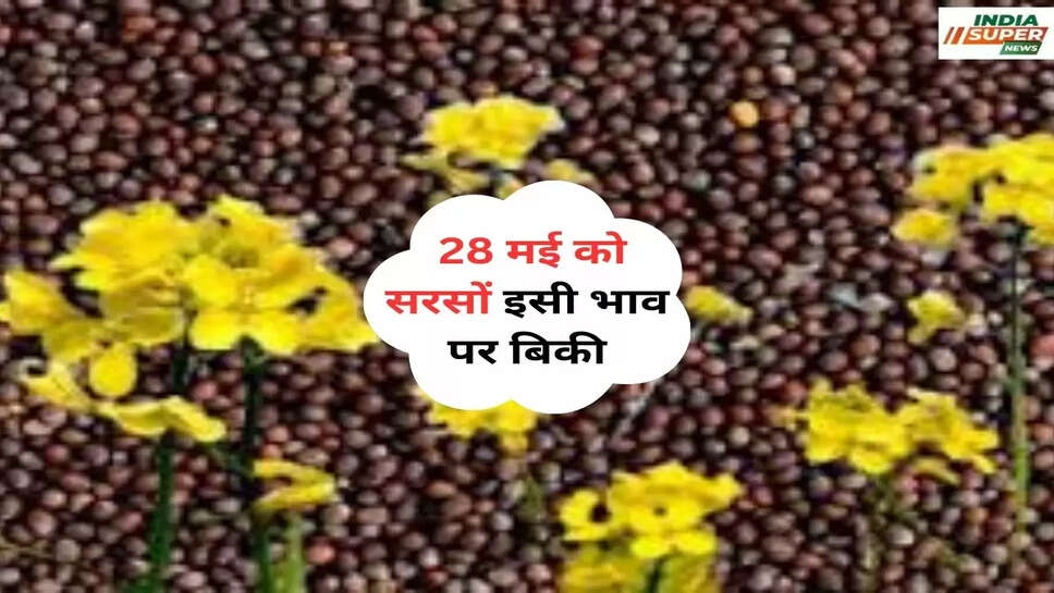 28 मई को सरसों इसी भाव पर बिकी