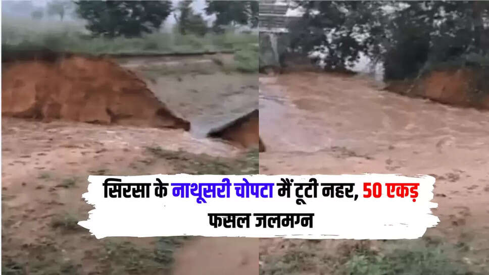 sirsa news